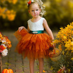 Cute as a Pumpkin - Girls Tutu Dress - The Little Kitten Boutique