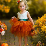 Cute as a Pumpkin - Girls Tutu Dress - The Little Kitten Boutique