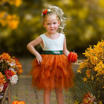 Cute as a Pumpkin - Girls Tutu Dress - The Little Kitten Boutique