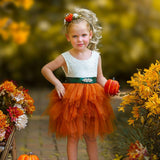 Cute as a Pumpkin - Girls Tutu Dress - The Little Kitten Boutique