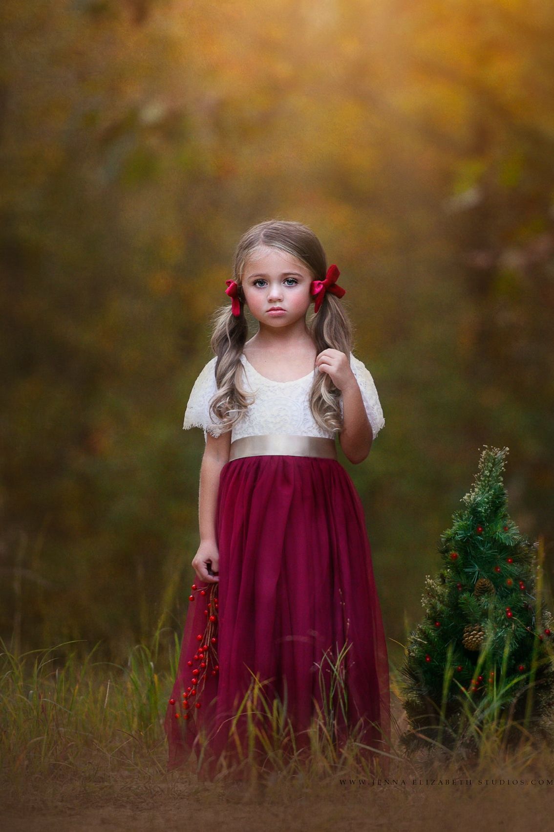 Butterfly Cap Sleeve Special Occasion Lace and tulle flower girl dress - The Little Kitten Boutique