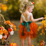 Cute as a Pumpkin - Girls Tutu Dress - The Little Kitten Boutique