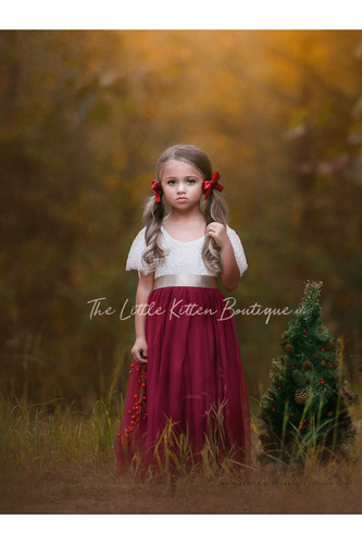 Lace and tulle Flower Girl Dress / Special Occasion Dress with  Butterfly Cap Sleeve