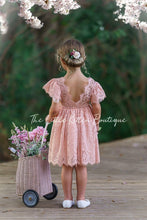 Flower Girl Dress / Special Occasion Dress for Girls, with Ruffle Sleeve